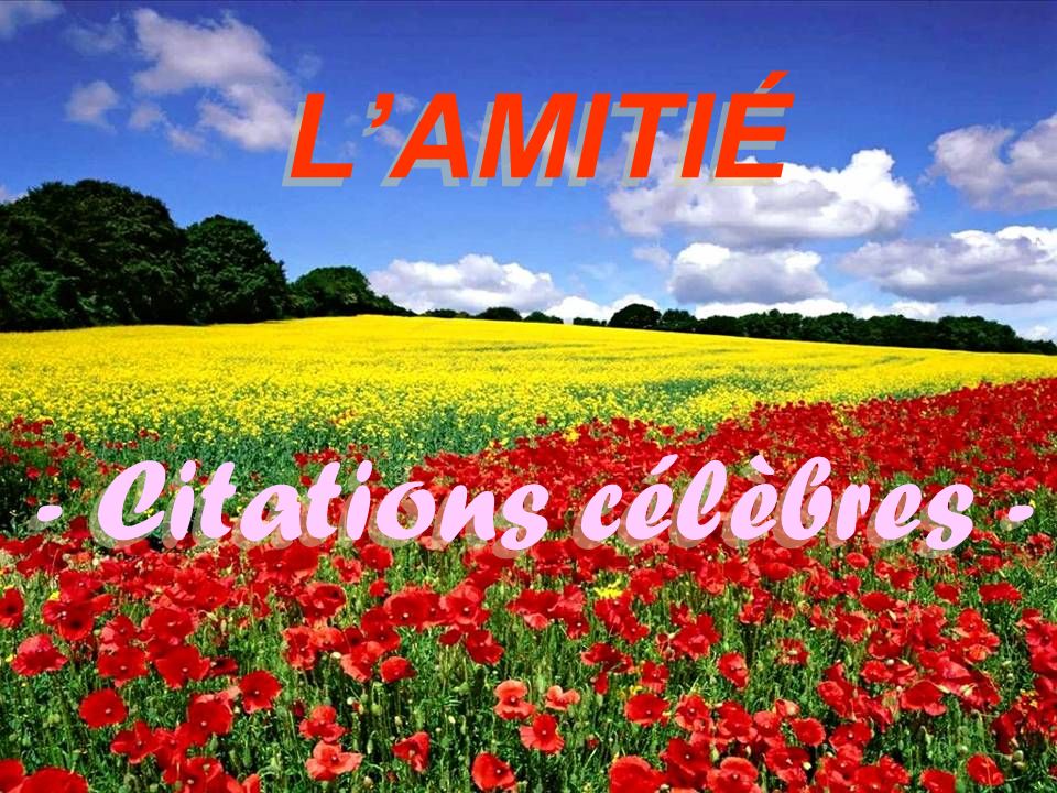 Lamitie Citations Celebres L Amitie Sans Confiance C Est