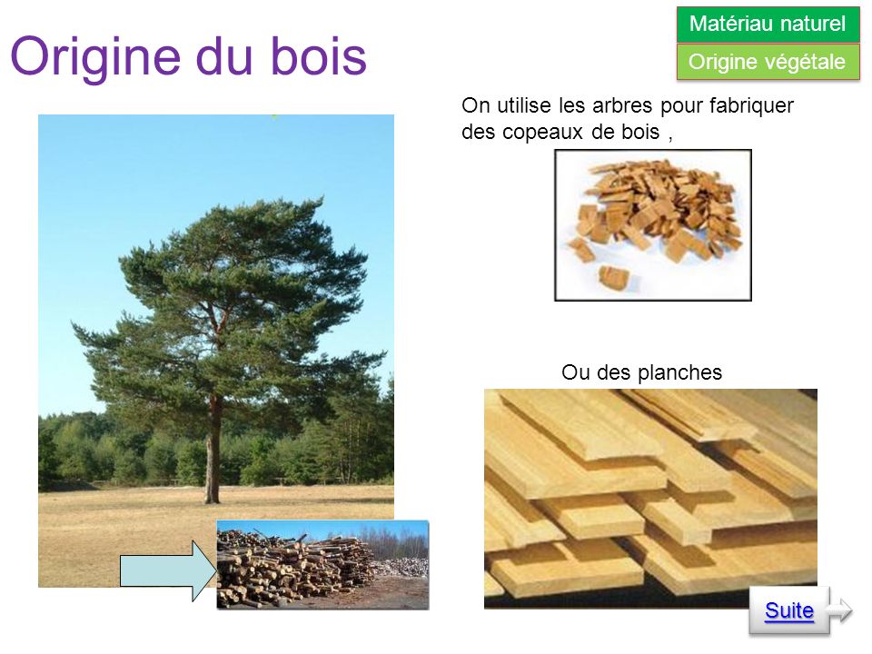 Origine du bois On utilise les arbres pour fabriquer des copeaux de bois, Ou des planches Suite Matériau naturel Origine végétale