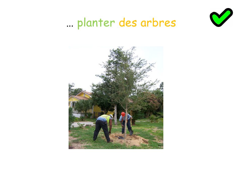 … planter des arbres