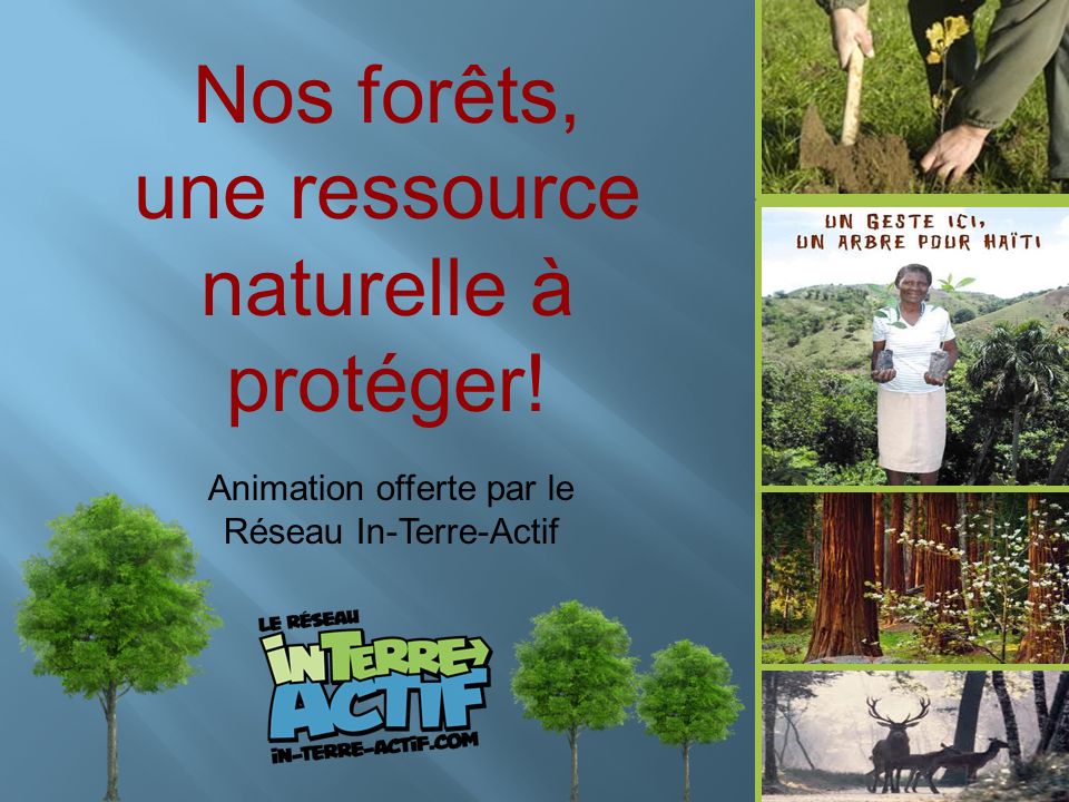 Nos forêts, une ressource naturelle à protéger! Animation offerte par le Réseau In-Terre-Actif