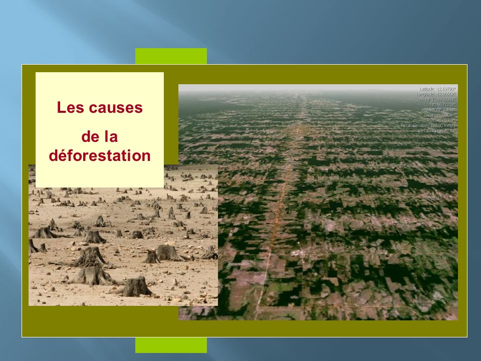 Insérer photo ici Les causes de la déforestation