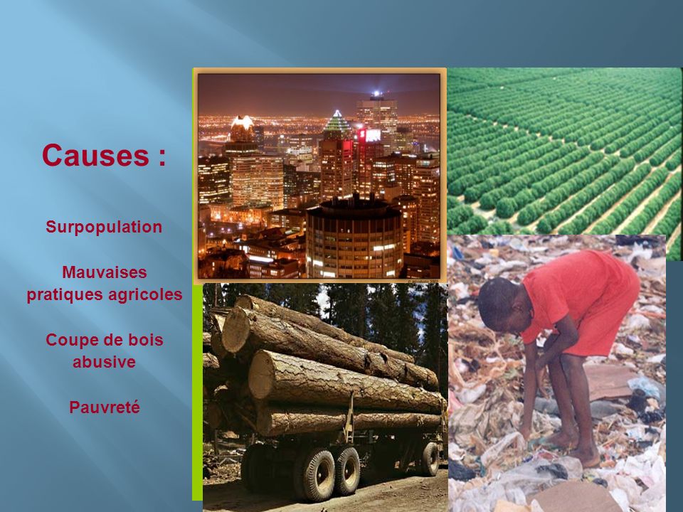 Causes : Surpopulation Mauvaises pratiques agricoles Coupe de bois abusive Pauvreté