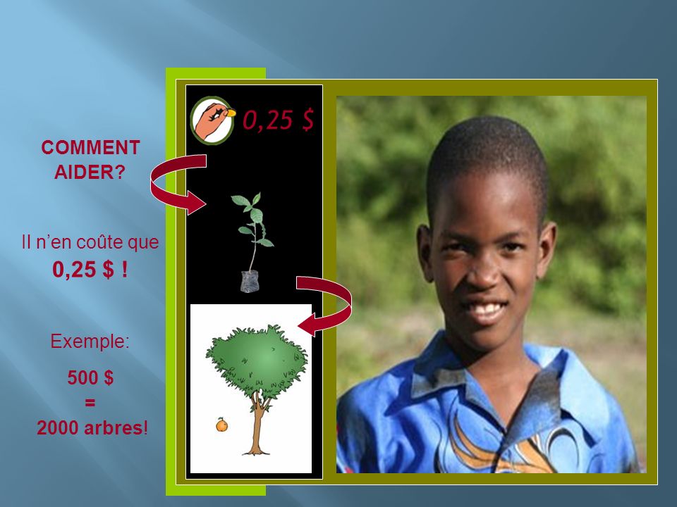 Insérer photo ici COMMENT AIDER Il nen coûte que 0,25 $ ! Exemple: 500 $ = 2000 arbres! 0,25 $