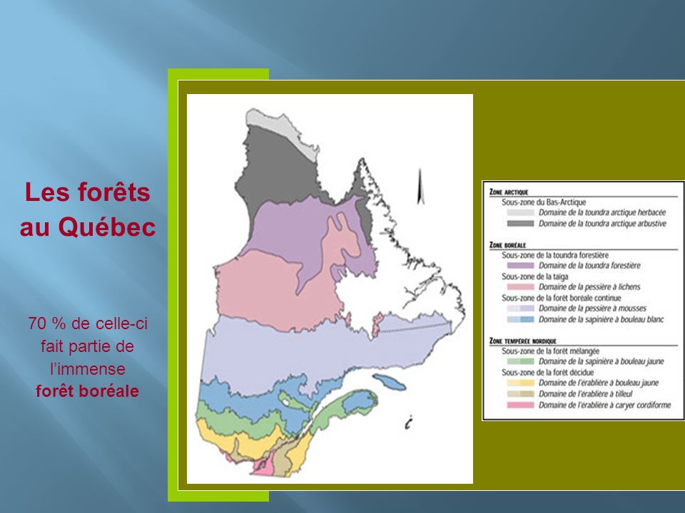 Les forêts au Québec 70 % de celle-ci fait partie de limmense forêt boréale