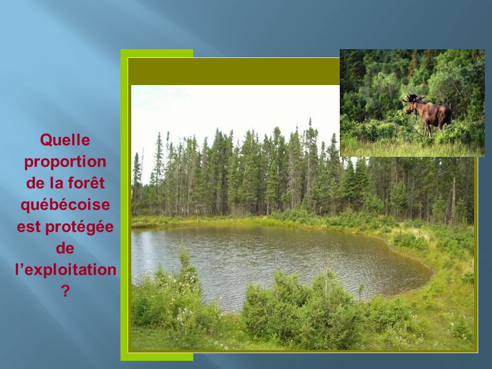 Insérer photo ici Quelle proportion de la forêt québécoise est protégée de lexploitation