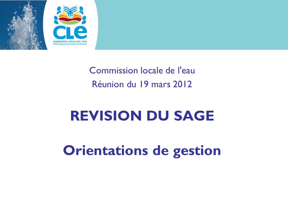 Commission locale de l eau Réunion du 19 mars 2012 REVISION DU SAGE Orientations de gestion
