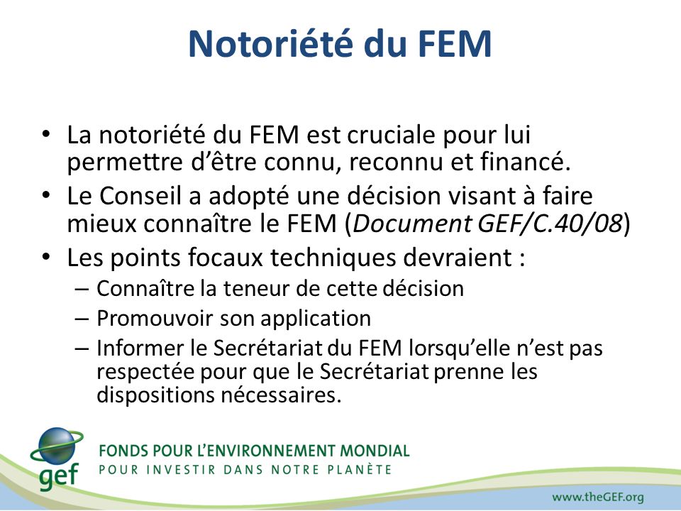 Notoriété du FEM La notoriété du FEM est cruciale pour lui permettre dêtre connu, reconnu et financé.