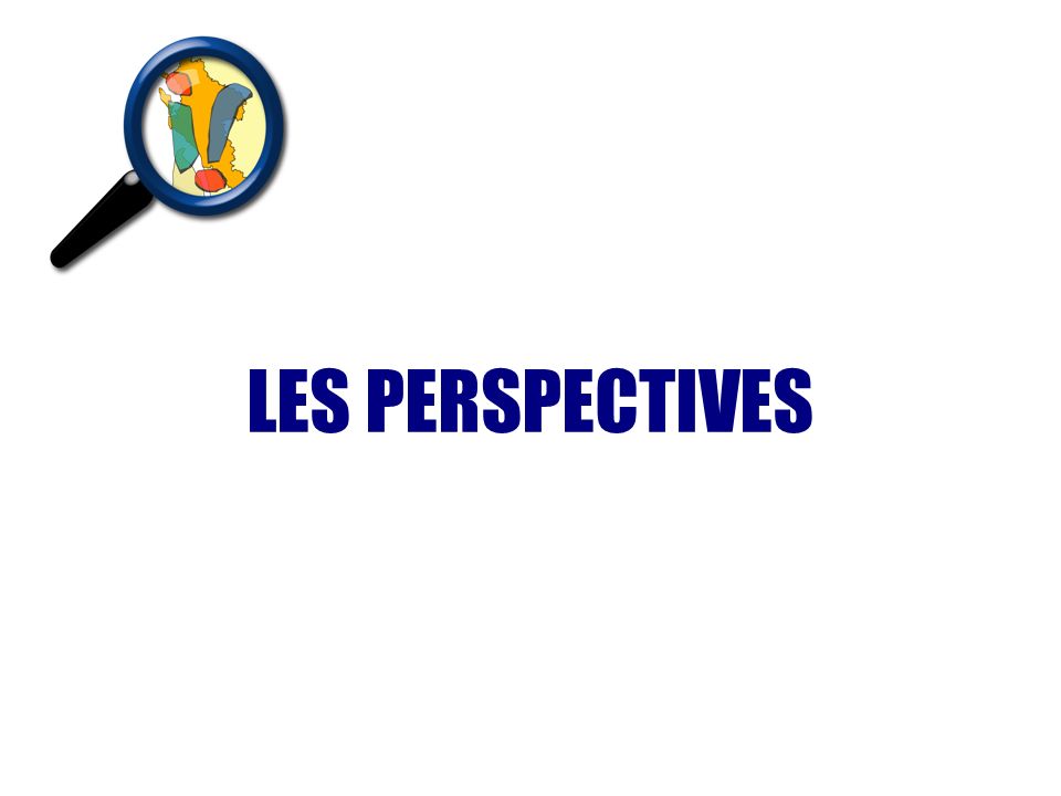 LES PERSPECTIVES