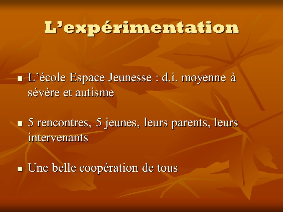 Lexpérimentation Lécole Espace Jeunesse : d.i.