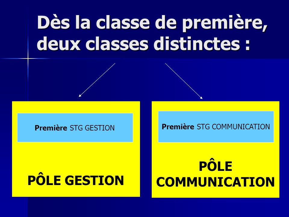 PÔLE COMMUNICATION PÔLE GESTION Première STG GESTION Première STG COMMUNICATION Dès la classe de première, deux classes distinctes :
