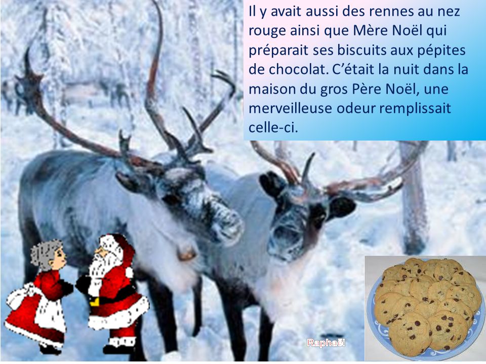 Il y avait aussi des rennes au nez rouge ainsi que Mère Noël qui préparait ses biscuits aux pépites de chocolat.
