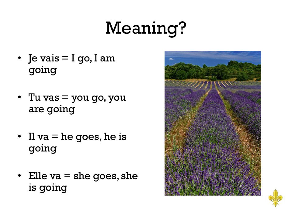 Meaning.