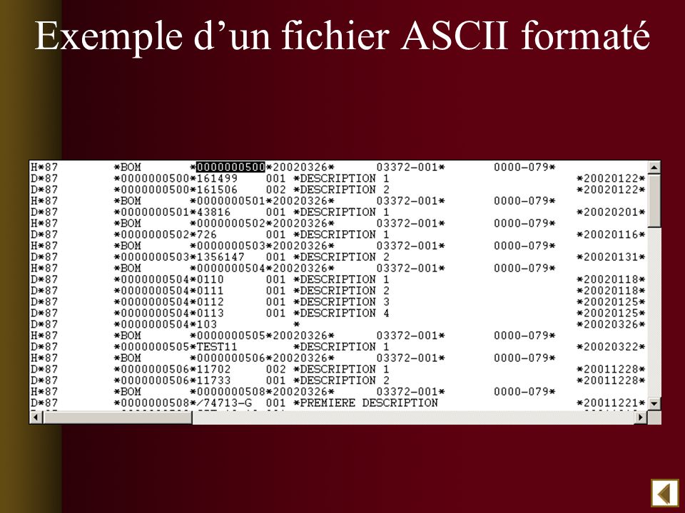 Exemple dun fichier ASCII formaté