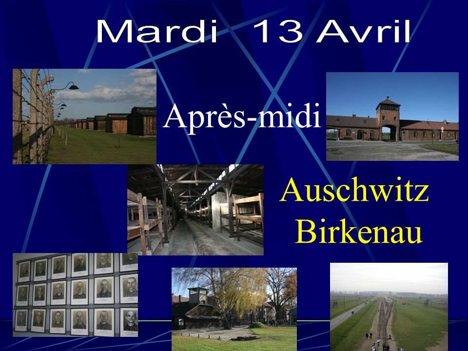 Après-midi Auschwitz Birkenau