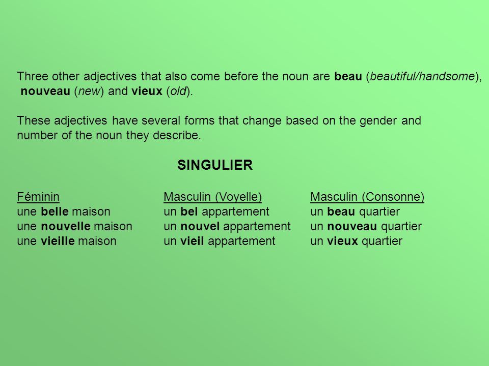 Three other adjectives that also come before the noun are beau (beautiful/handsome), nouveau (new) and vieux (old).