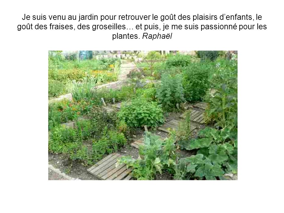 Je dis avec fierté à mes amis bordelais que jai un jardin à Paris et que je jardine. Anne