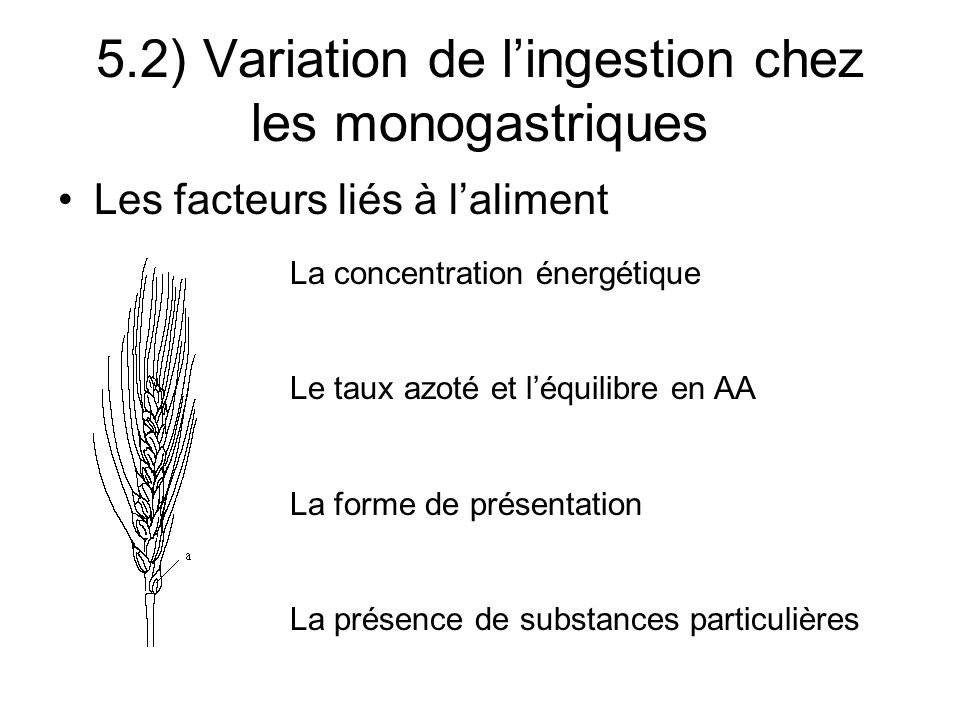 Les facteurs liés à laliment 5.2) Variation de lingestion chez les monogastriques La concentration énergétique Le taux azoté et léquilibre en AA La forme de présentation La présence de substances particulières