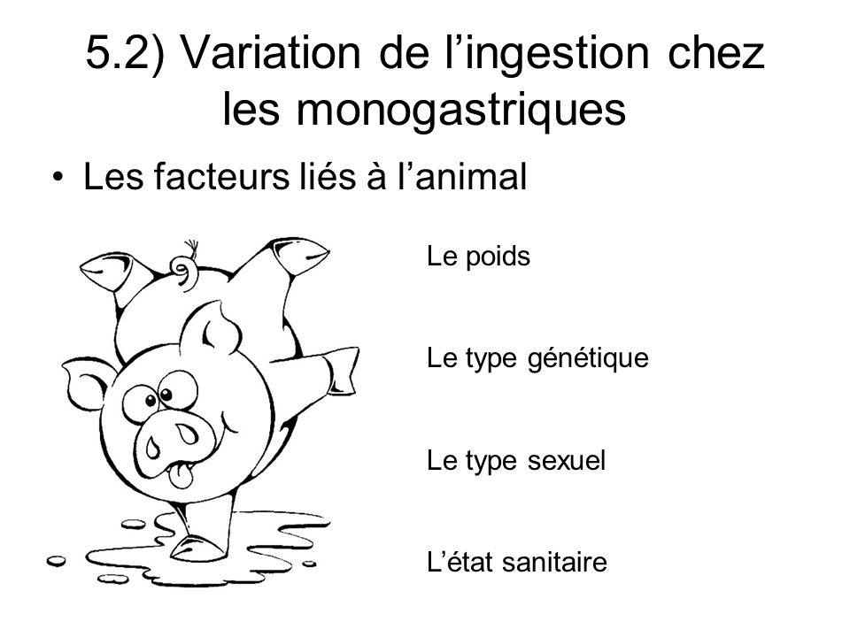 Les facteurs liés à lanimal 5.2) Variation de lingestion chez les monogastriques Le poids Le type génétique Le type sexuel Létat sanitaire