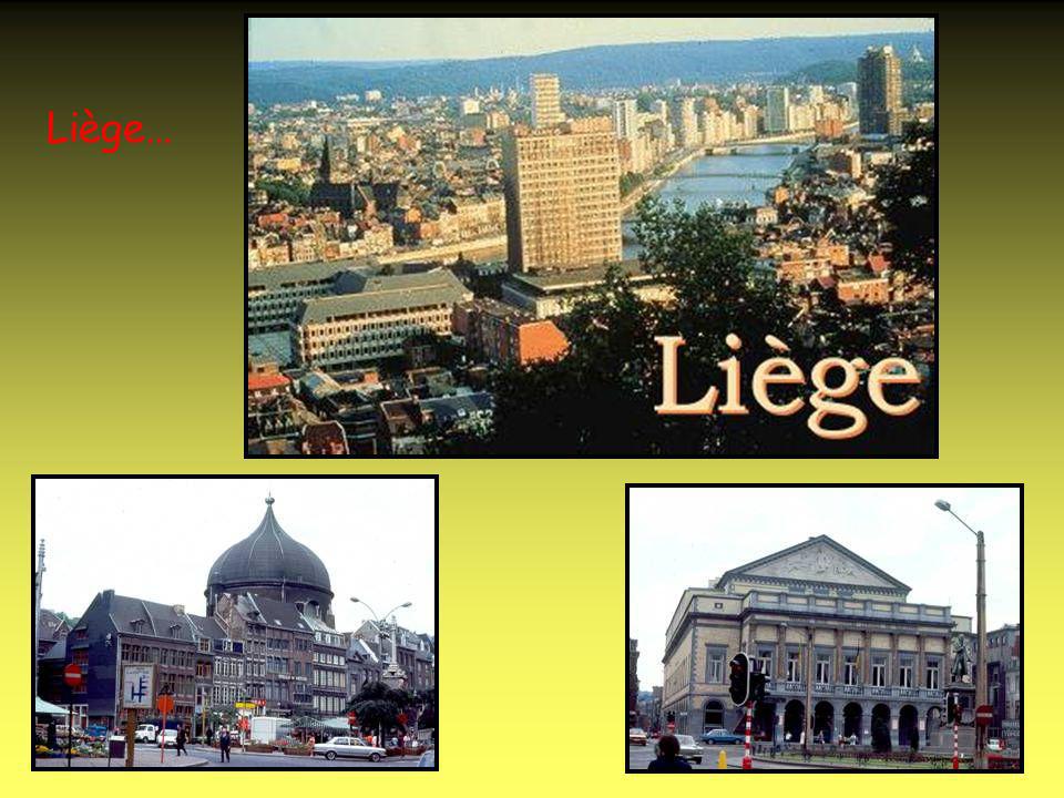 Namur est la capitale de la Wallonie.