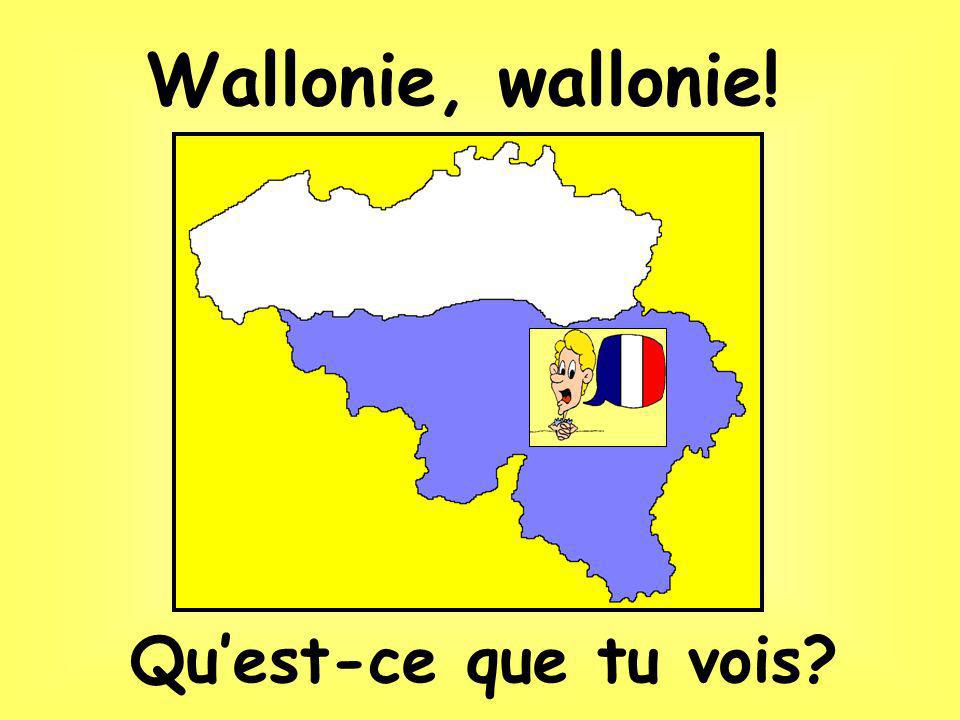 Waterloo… où Napoléon a perdu la bataille !!!