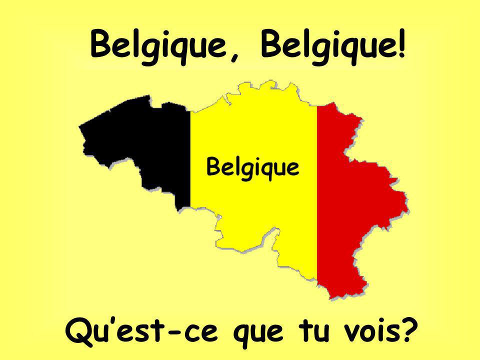 La Belgique a 3 langues officielles: Le Français Le Flamand LAllemand