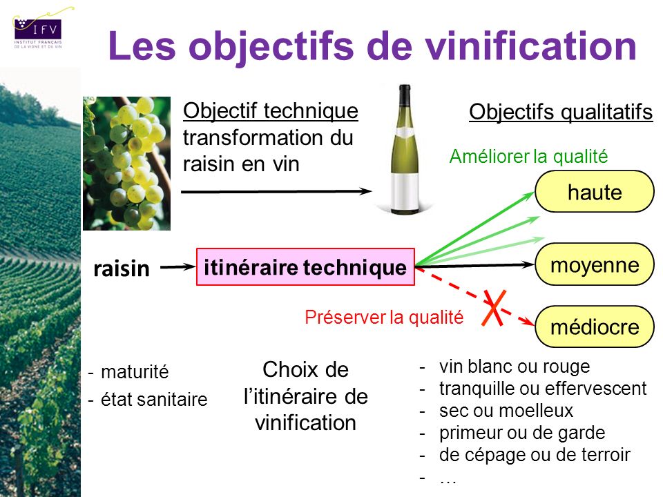 Vinification vin blanc sec