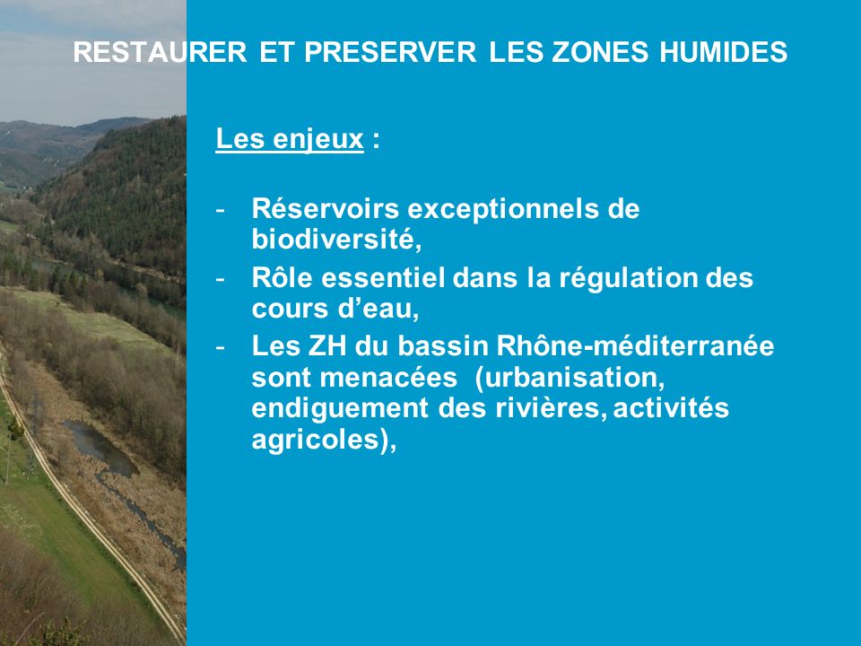 Les enjeux : -Réservoirs exceptionnels de biodiversité, -Rôle essentiel dans la régulation des cours deau, -Les ZH du bassin Rhône-méditerranée sont menacées (urbanisation, endiguement des rivières, activités agricoles), RESTAURER ET PRESERVER LES ZONES HUMIDES