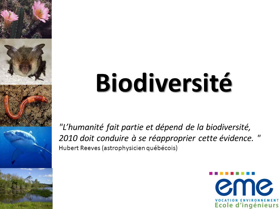Biodiversité Lhumanité fait partie et dépend de la biodiversité, 2010 doit conduire à se réapproprier cette évidence.