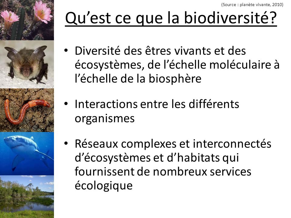 Quest ce que la biodiversité.