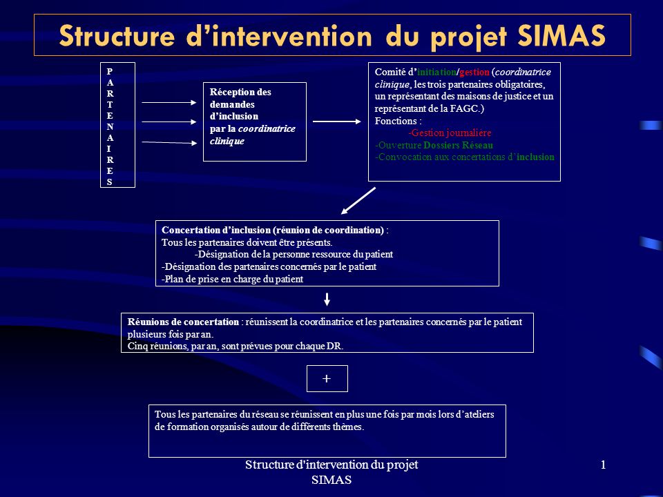 Structure d intervention du projet SIMAS 1 Réception des demandes dinclusion par la coordinatrice clinique Concertation dinclusion (réunion de coordination) : Tous les partenaires doivent être présents.