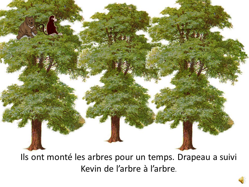 Tiens, allons monter celui-ci. Drapeau et Kevin ont choisi un arbre à monter. Bien sûr!