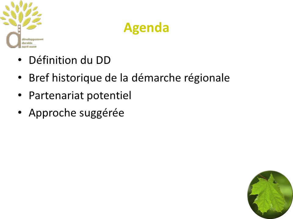 Agenda Définition du DD Bref historique de la démarche régionale Partenariat potentiel Approche suggérée 3