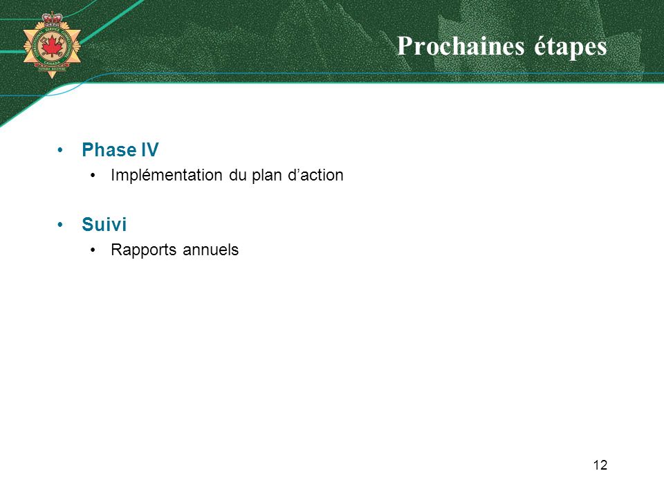 Prochaines étapes Phase IV Implémentation du plan daction Suivi Rapports annuels 12