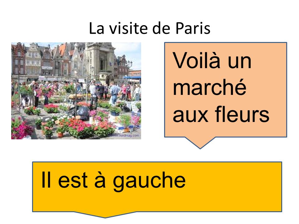 La visite de Paris Voilà un marché aux fleurs Il est à gauche