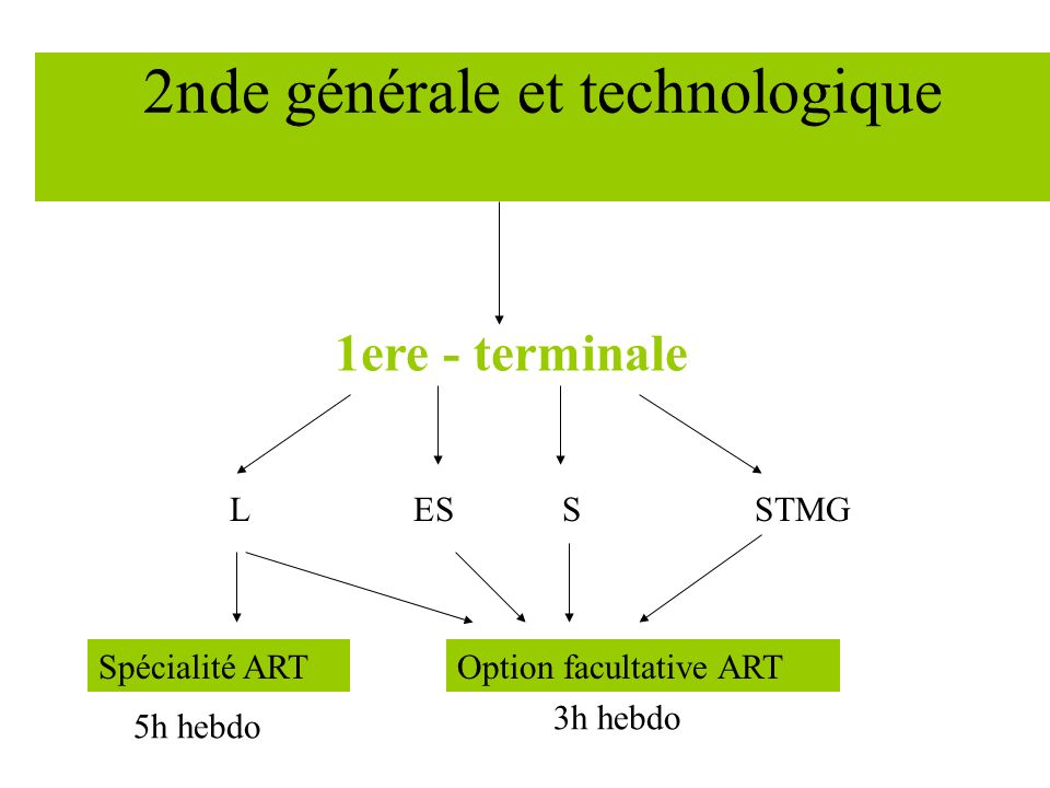 2nde générale et technologique 1ere - terminale ESSLSTMG Spécialité ARTOption facultative ART 5h hebdo 3h hebdo