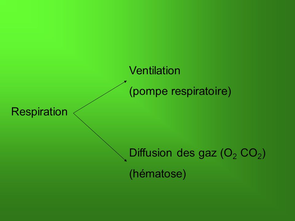 Ventilation (pompe respiratoire) Respiration Diffusion des gaz (O 2 CO 2 ) (hématose)
