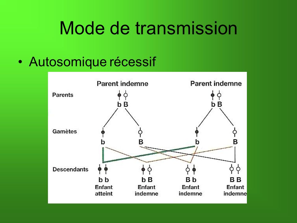 Mode de transmission Autosomique récessif