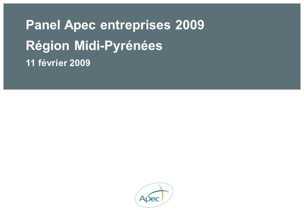 Panel Apec entreprises 2009 Région Midi-Pyrénées 11 février 2009