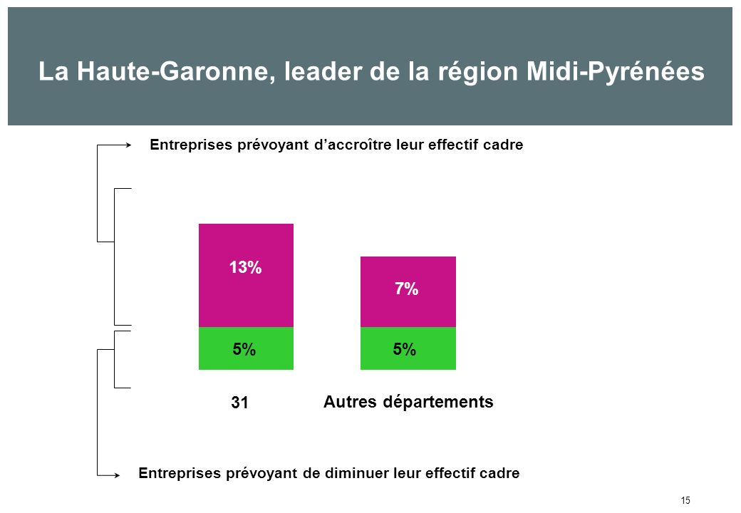 15 La Haute-Garonne, leader de la région Midi-Pyrénées 13% 7% Entreprises prévoyant daccroître leur effectif cadre Entreprises prévoyant de diminuer leur effectif cadre 5% 31 Autres départements
