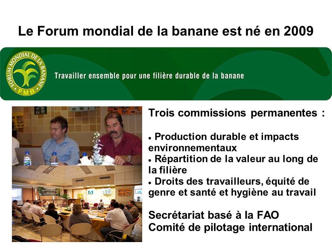 Le Forum mondial de la banane est né en 2009 Trois commissions permanentes : Production durable et impacts environnementaux Répartition de la valeur au long de la filière Droits des travailleurs, équité de genre et santé et hygiène au travail Secrétariat basé à la FAO Comité de pilotage international