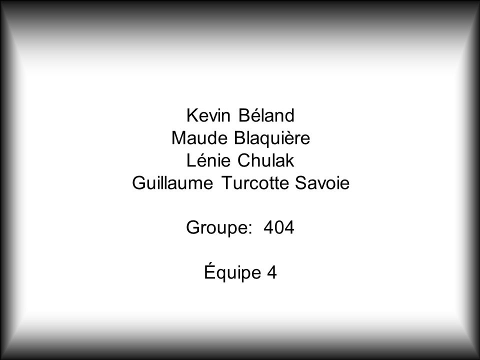 Kevin Béland Maude Blaquière Lénie Chulak Guillaume Turcotte Savoie Groupe: 404 Équipe 4