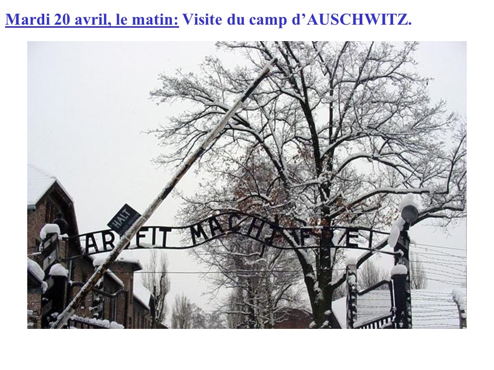 Mardi 20 avril, le matin: Visite du camp dAUSCHWITZ.
