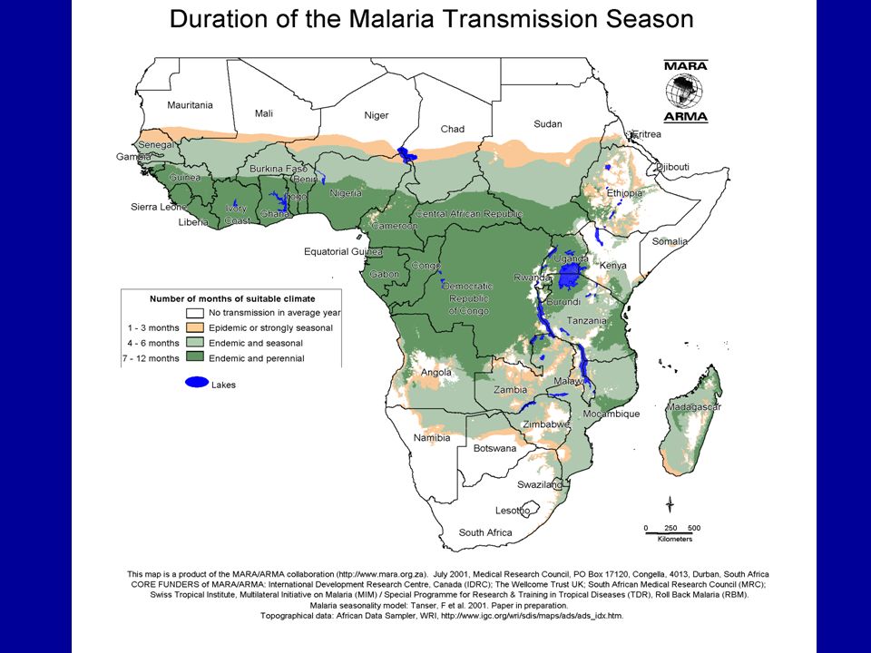 Какая малярия в африке. Карта распространения малярии в Африке. Распространение малярии в Африке. Очаги малярии в Африке.