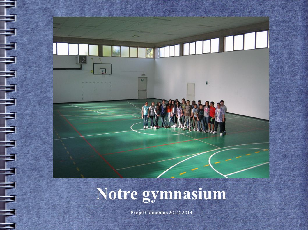 Projet Comenius Notre gymnasium