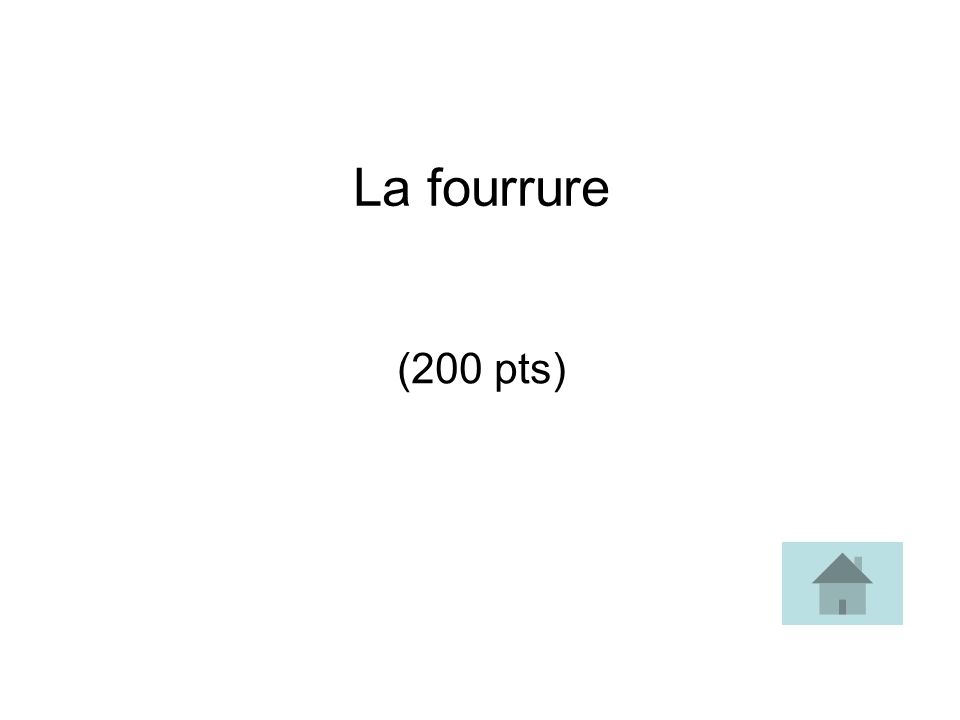 La fourrure (200 pts)