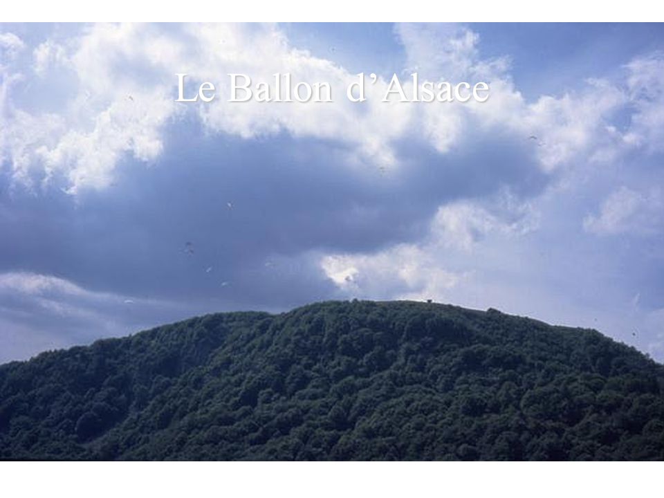 Plateau du Vercors au dessus de Villard de Lans