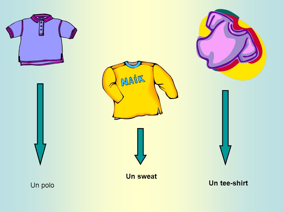 Un polo Un sweat Un tee-shirt