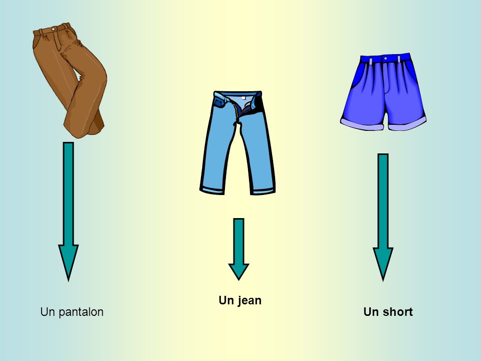 Un pantalon Un jean Un short