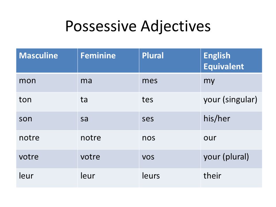 Possessive Adjectives MasculineFemininePluralEnglish Equivalent monmamesmy ...