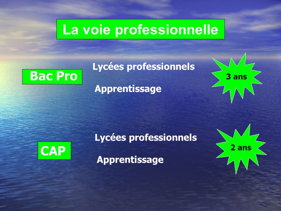 La voie professionnelle Bac Pro CAP Lycées professionnels Apprentissage 2 ans 3 ans